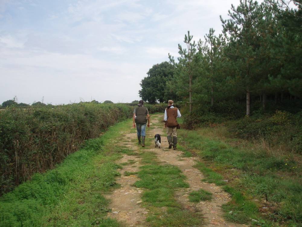 champ de chasse