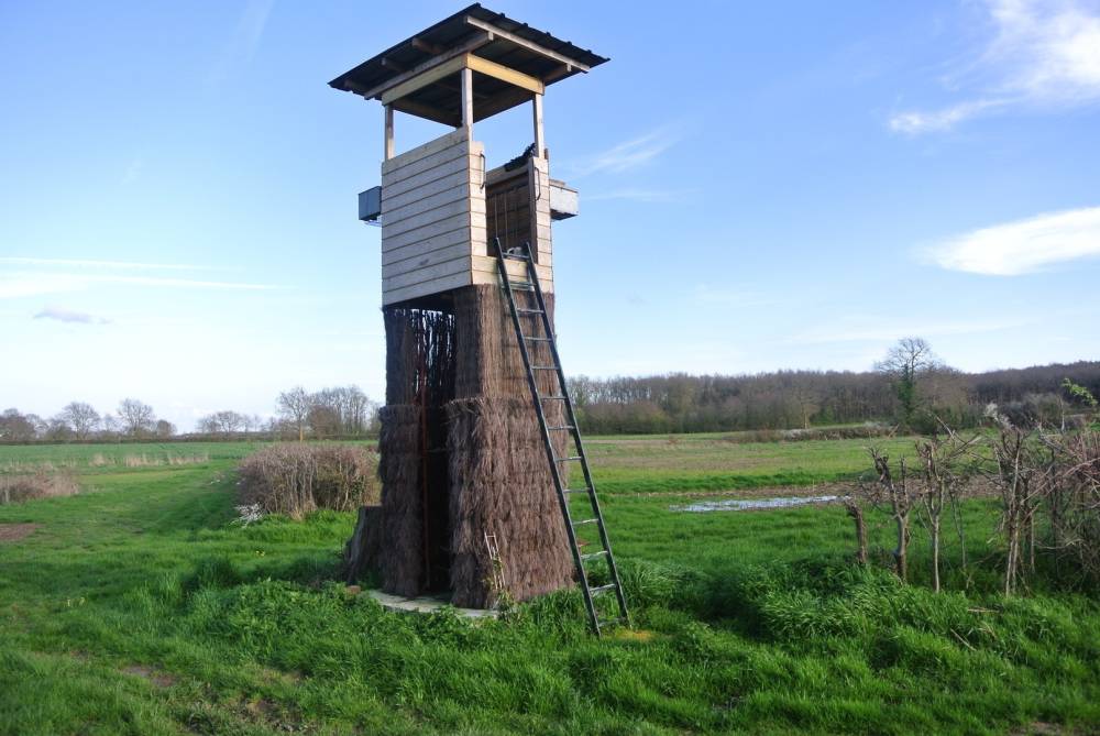 vue pour chasse